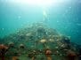 Pemuteran Bay, Bali, Indonesia, by Wolf Hilbertz