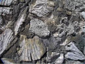 Figure 8. Cartagena wall made of corals collected from the sea (Google Images)