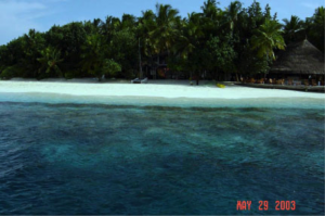 Figure 11. New Beach grown in two years at Ihuru Island, North Male Atoll, the Maldives, at a location where the beach had eroded away and the building on the right was about to collapse into the sea at the start of the project. The Biorock shore protection reef is the dark line in front of the beach. The Asian Tsunami passed right over this island without causing any damage to beach or reef. Photo by Azeez Hakeem.