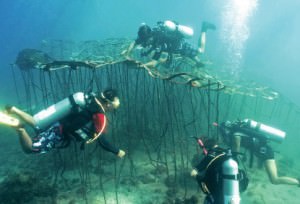 Biorock, Indonesian, Senggigi, art, restoration, marine, habitat