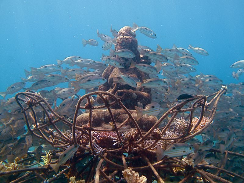 coral_goddess_and_snapper.jpg__800x600_q85_crop