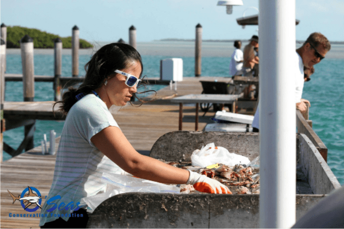 Shark bites deterred by Biorock Electric Coral Reef Projects