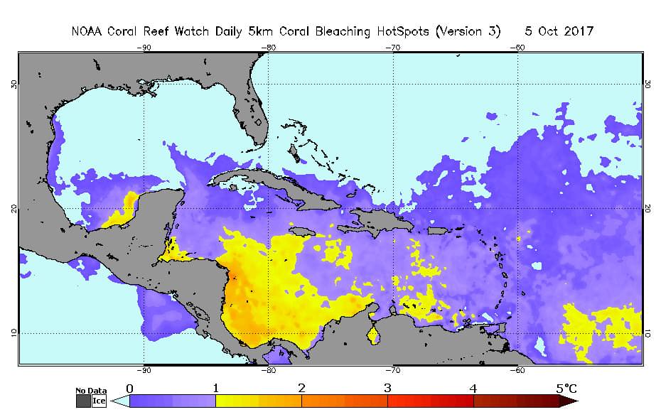 Coral bleaching is now starting over a large part of the Caribbean