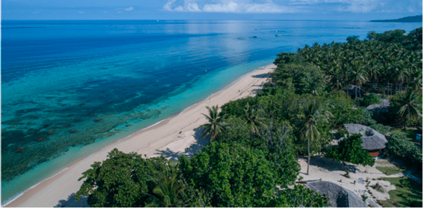 Biorock Electric Reefs Grow Back Severely Eroded Beaches in Months