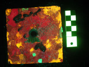 nightsea Settlement tile – fluorescence. Scale in cm.