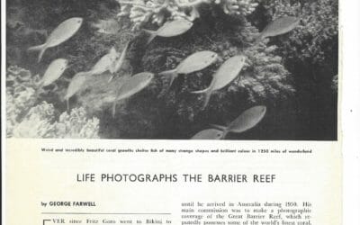 Ninety years of change on the Great Barrier Reef