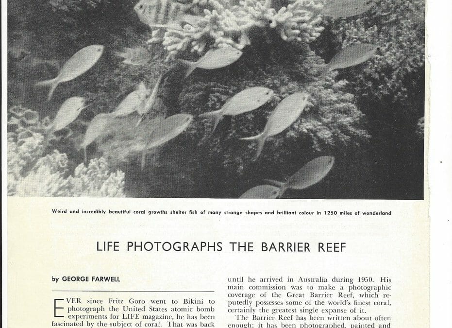 Ninety years of change on the Great Barrier Reef