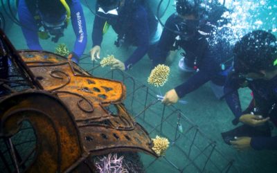 Biorock Barong And Rangda reef installed in honor of Agung Prana