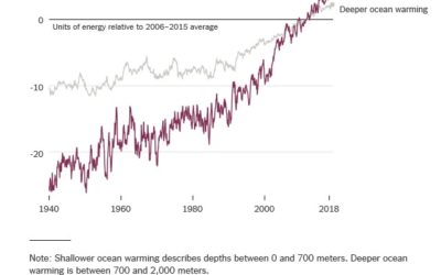 Global ocean warming accelerates threats to coral reefs, need to remove CO2