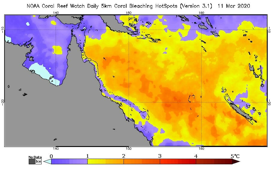 Great Barrier Reef bleaching should decrease in the coming weeks