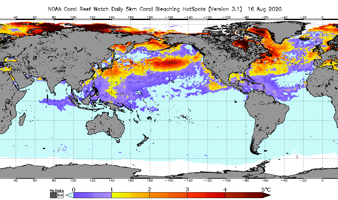 Coral Bleaching HotSpot shows Arctic Ice Death Spiral