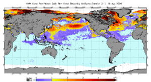 Coral Bleaching HotSpot Aug 16, 2020