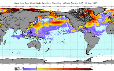 Coral Bleaching HotSpot shows Arctic Ice Death Spiral