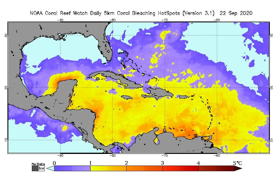 Entire Caribbean Sea about to bleach