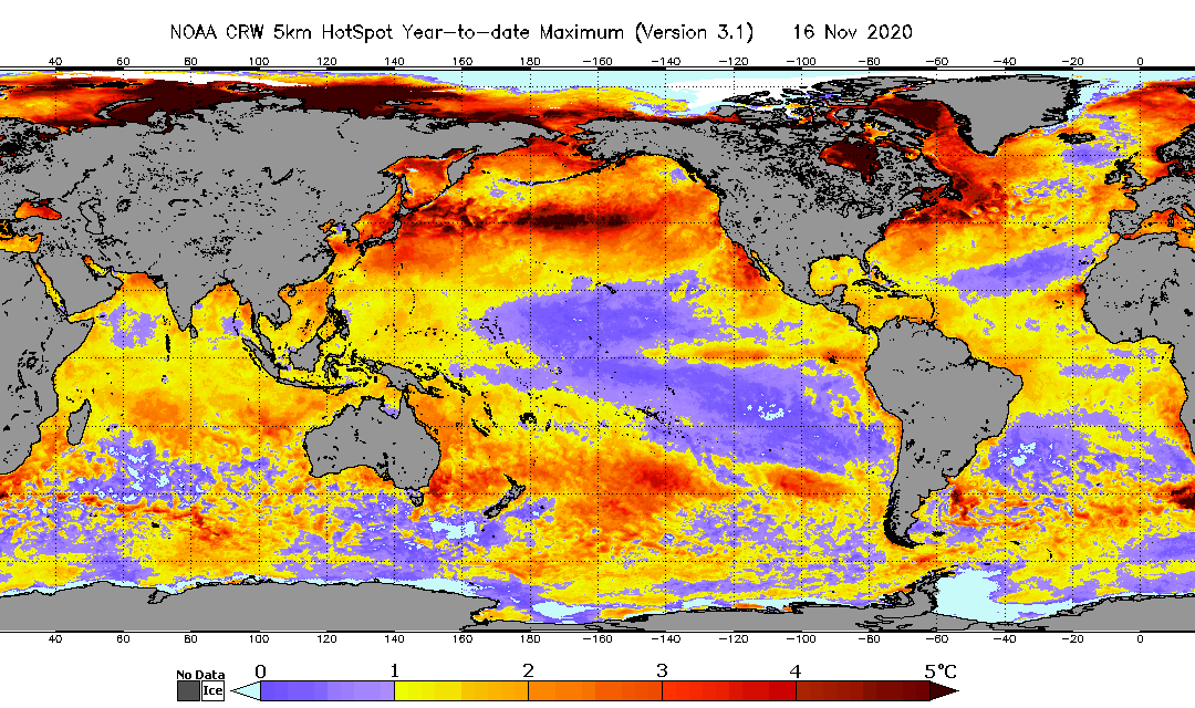 2020 Global Coral Reef Bleaching Patterns