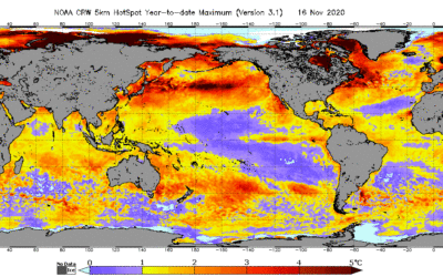 2020 Global Coral Reef Bleaching Patterns