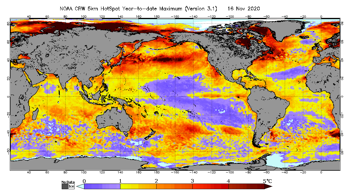 2020 Global Coral Reef Bleaching Patterns Global Coral Reef Alliance