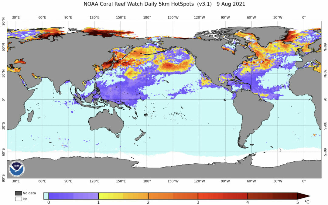 IPCC IGNORES CORAL REEF COUNTRIES AGAIN