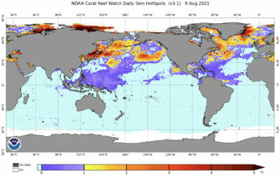 IPCC IGNORES CORAL REEF COUNTRIES AGAIN