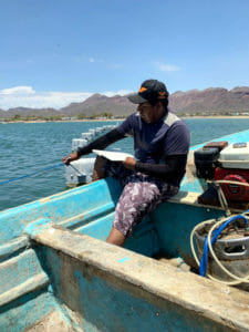 Biorock, solar powered, mariculture rafts, Infiernillo Channel, Sonora