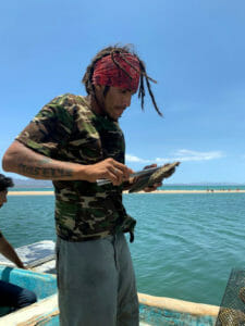 Infiernillo Channel, Sonora. Mexico, Biorock, oyster growth