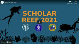 Scholar Reef 2021