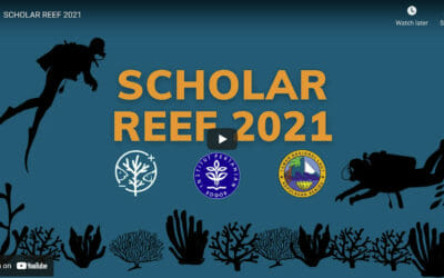 Biorock Indonesia announces 2021 Scholar Reef program for Youth coral regeneration training