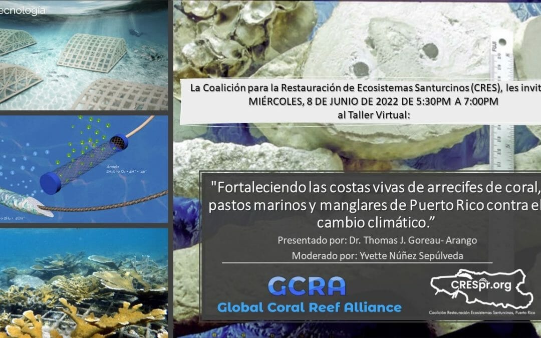 Strengthening Puerto Rico’s living coasts of coral reefs, seagrasses, and mangroves against climate change