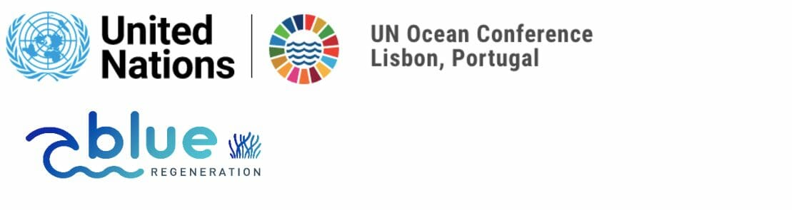 Biorock: a revolutionary technology providing the most cost-effective solutions for regenerating coastal ecosystem services for building a sustainable Blue Economy and reversing global climate change