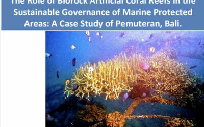 The Role of Biorock Artificial Coral Reefs in the Sustainable Governance of Marine Protected Areas: A Case Study of Pemuteran, Bali