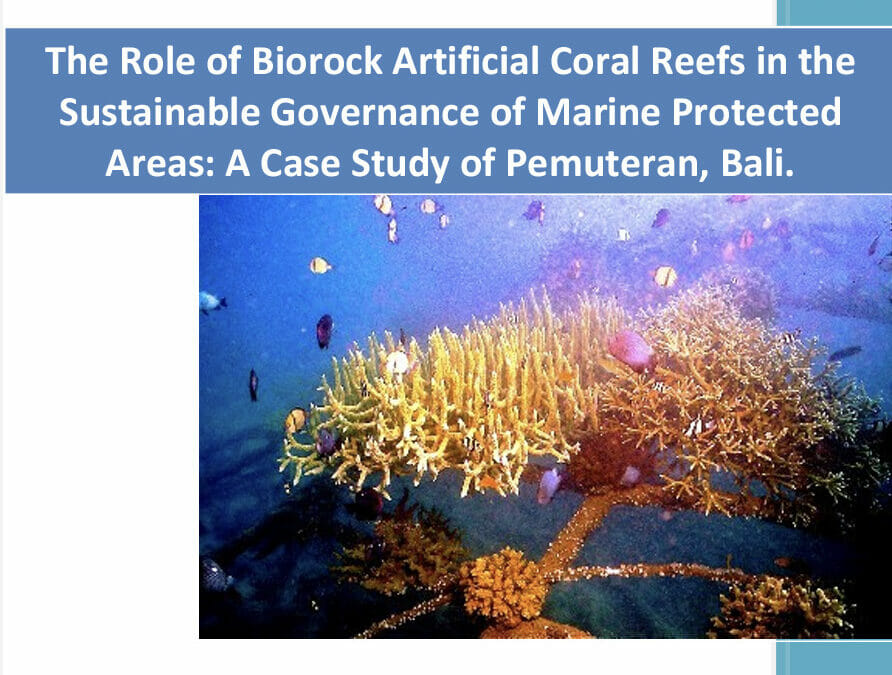 The Role of Biorock Artificial Coral Reefs in the Sustainable Governance of Marine Protected Areas: A Case Study of Pemuteran, Bali