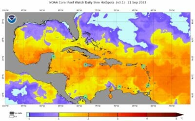 Deadly coral bleaching heat wave spreads across entire Caribbean