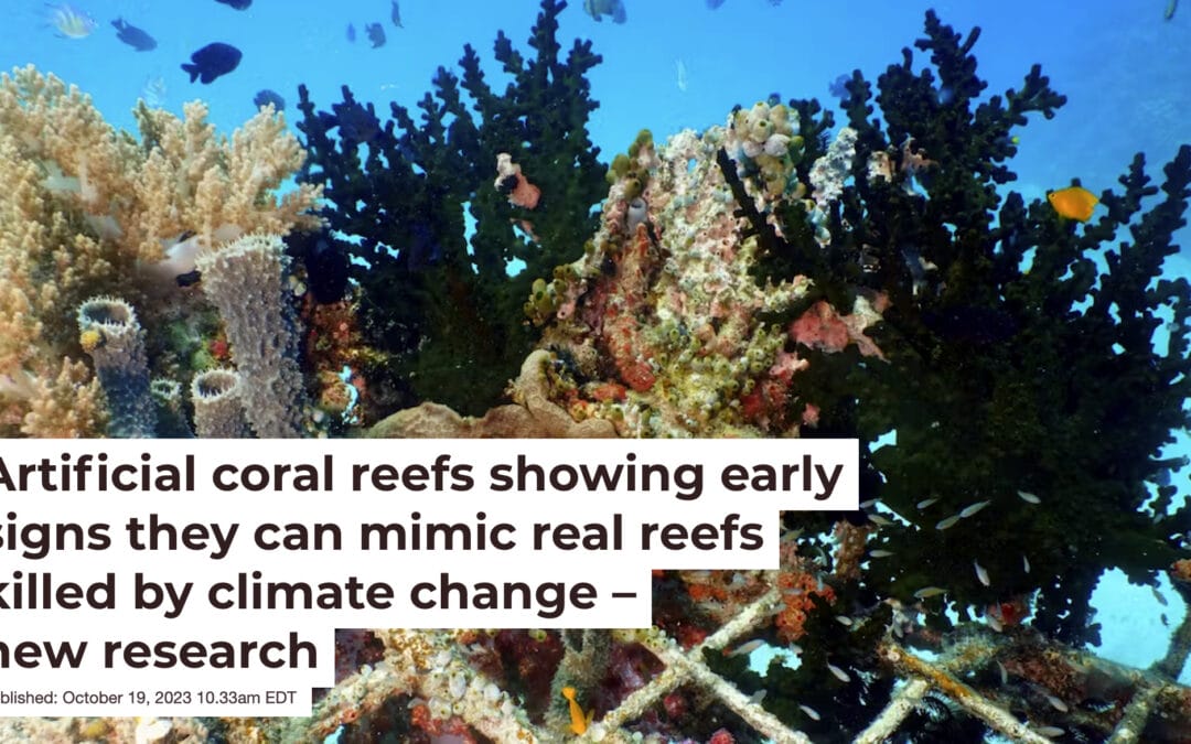 REAL AND FAKE CORAL REEF RESTORATION (UPDATED)
