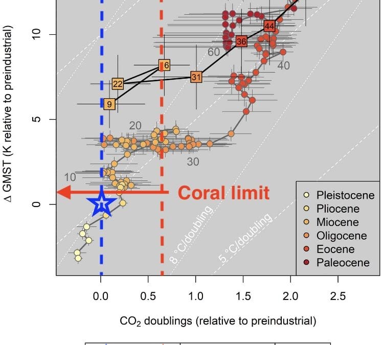 2023 GLOBAL CORAL REEF ALLIANCE WINTER SOLSTICE REPORT: REEF REPARATIONS FROM FOSSIL FUEL PRODUCERS FOR MASS EXTINCTION OF CORAL REEFS FROM GLOBAL WARMING