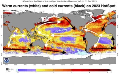 2023 record marine heat waves:  Coral Bleaching HotSpot maps reveal global sea surface temperature extremes, coral mortality, and ocean circulation changes