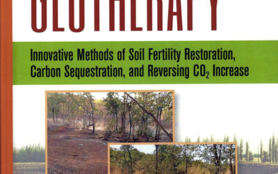 Regenerating EARTH: GEOTHERAPY free book download