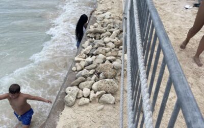 Losing ground: Cayman facing race against time to protect and restore our beaches