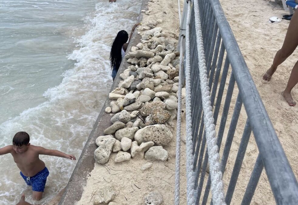Losing ground: Cayman facing race against time to protect and restore our beaches